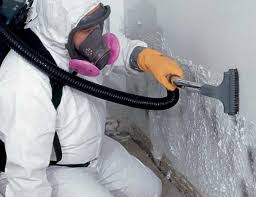 Best Forensic Mold Investigation  in Somerville, NJ